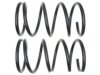 GENERAL MOTORS 19255397 Coil Spring