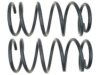 GENERAL MOTORS 19255412 Coil Spring