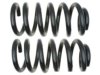 GENERAL MOTORS 19255418 Coil Spring