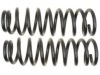 GENERAL MOTORS 19255536 Coil Spring