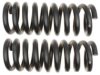 GENERAL MOTORS 19255634 Coil Spring