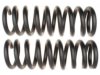 GENERAL MOTORS 19255635 Coil Spring