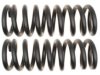 GENERAL MOTORS 19255636 Coil Spring