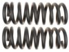 GENERAL MOTORS 19255638 Coil Spring