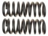 GENERAL MOTORS 19255639 Coil Spring