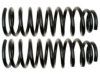 GENERAL MOTORS 88877824 Coil Spring