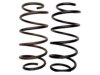 GENERAL MOTORS 19113811 Coil Spring