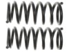 GENERAL MOTORS 19237849 Coil Spring