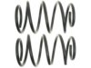 GENERAL MOTORS 19264639 Coil Spring