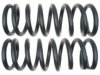 GENERAL MOTORS 19255388 Coil Spring