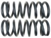 GENERAL MOTORS 19255390 Coil Spring