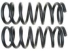 GENERAL MOTORS 19255392 Coil Spring