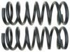 GENERAL MOTORS 19255394 Coil Spring