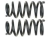 GENERAL MOTORS 19255398 Coil Spring