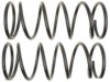 GENERAL MOTORS 19255528 Coil Spring