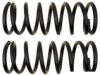 GENERAL MOTORS 19255530 Coil Spring