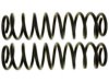 GENERAL MOTORS 19255622 Coil Spring