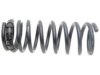 NISSAN 5501943U22 Coil Spring