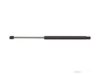 AMS AUTOMOTIVE  4784 Lift Support