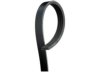 TIRE SIZE DESIGNATION 4PK1015 Belt