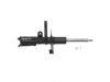ACDELCO PROFESSIONAL SHK/STRUT R CAN 503357 Strut