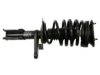 GENERAL MOTORS 19165975 Strut / Coil Spring / Mount Assembly