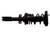 GENERAL MOTORS 19183505 Strut / Coil Spring / Mount Assembly