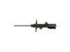 OEM 19294351 Strut