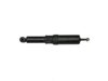 OEM 19295540 Strut