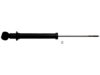 OEM 19295570 Strut