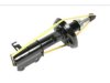 OEM 13354010 Strut