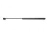 GENERAL MOTORS 19203126 Lift Support