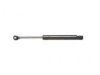 ACDELCO  510312 Lift Support