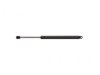 GENERAL MOTORS 12363773 Lift Support