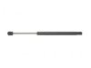ACDELCO PROFESSIONAL SHK/STRUT R CAN 510379 Lift Support
