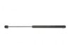 GENERAL MOTORS 12362251 Lift Support