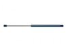 ACDELCO  510679 Lift Support