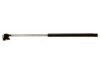 ACDELCO  510762 Lift Support