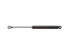 GENERAL MOTORS 19165221 Lift Support