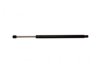 GENERAL MOTORS 19165229 Lift Support