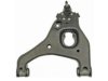 DORMAN 520125 Control Arm