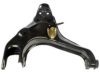 DORMAN 520467 Control Arm
