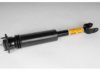 OEM 25758571 Shock Absorber