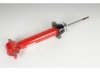  540579 Shock Absorber