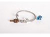 55565000 Oxygen (O2) Sensor