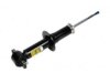 OEM 580287 Shock Absorber