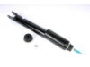 OEM 580250 Shock Absorber