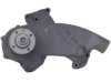 OEM 12529192 Water Pump