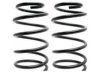 RAYBESTOS  5851293 Coil Spring