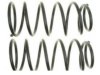 RAYBESTOS  5851398 Coil Spring